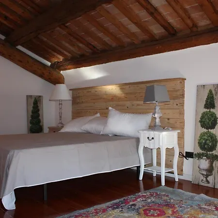 Tipi Vicenza